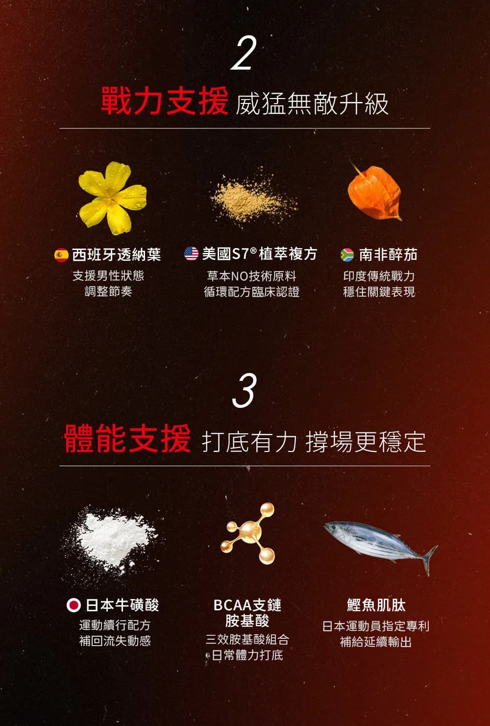 威猛錠3-09.jpg