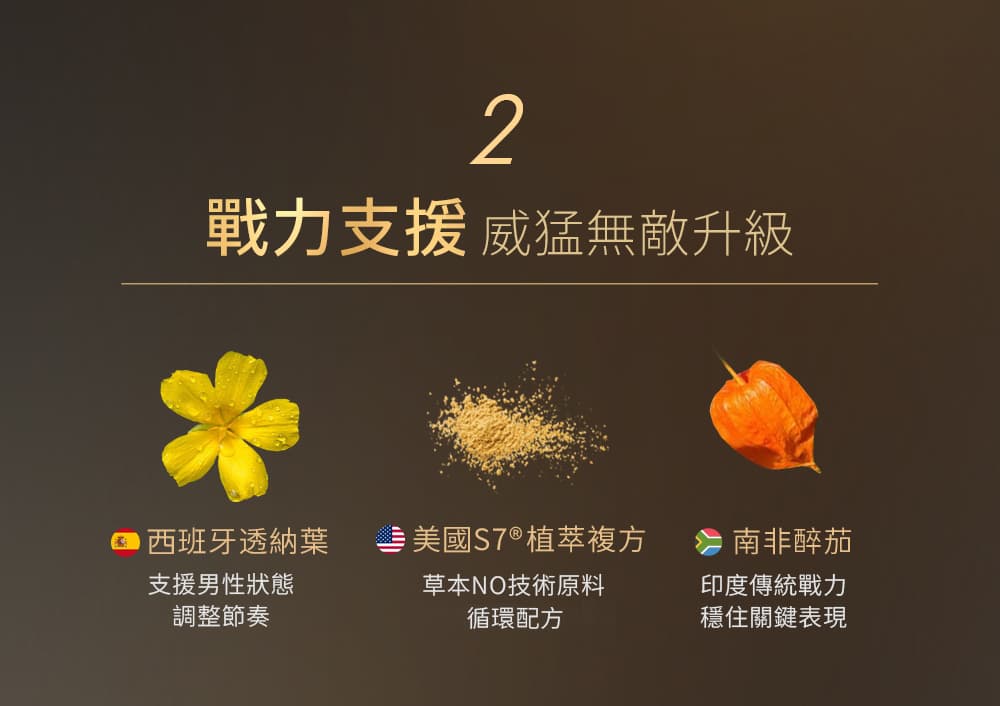 威猛錠2代-09.jpg