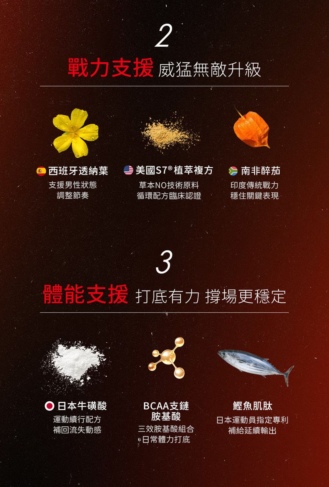 威猛錠3-09.jpg